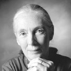 photo of Jane Goodall