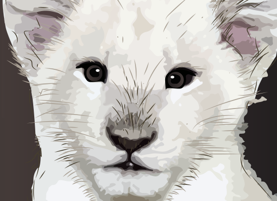 lion cub image