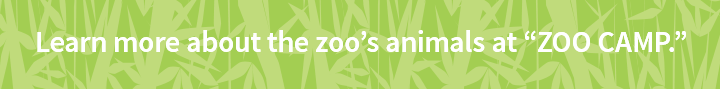 zoo education banner